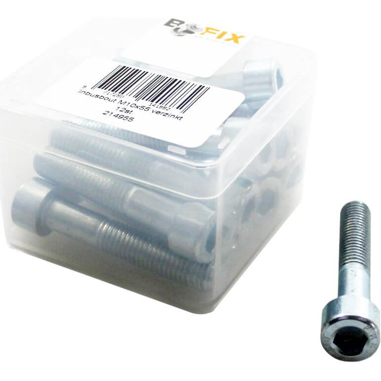 ds inbusbout M10x55