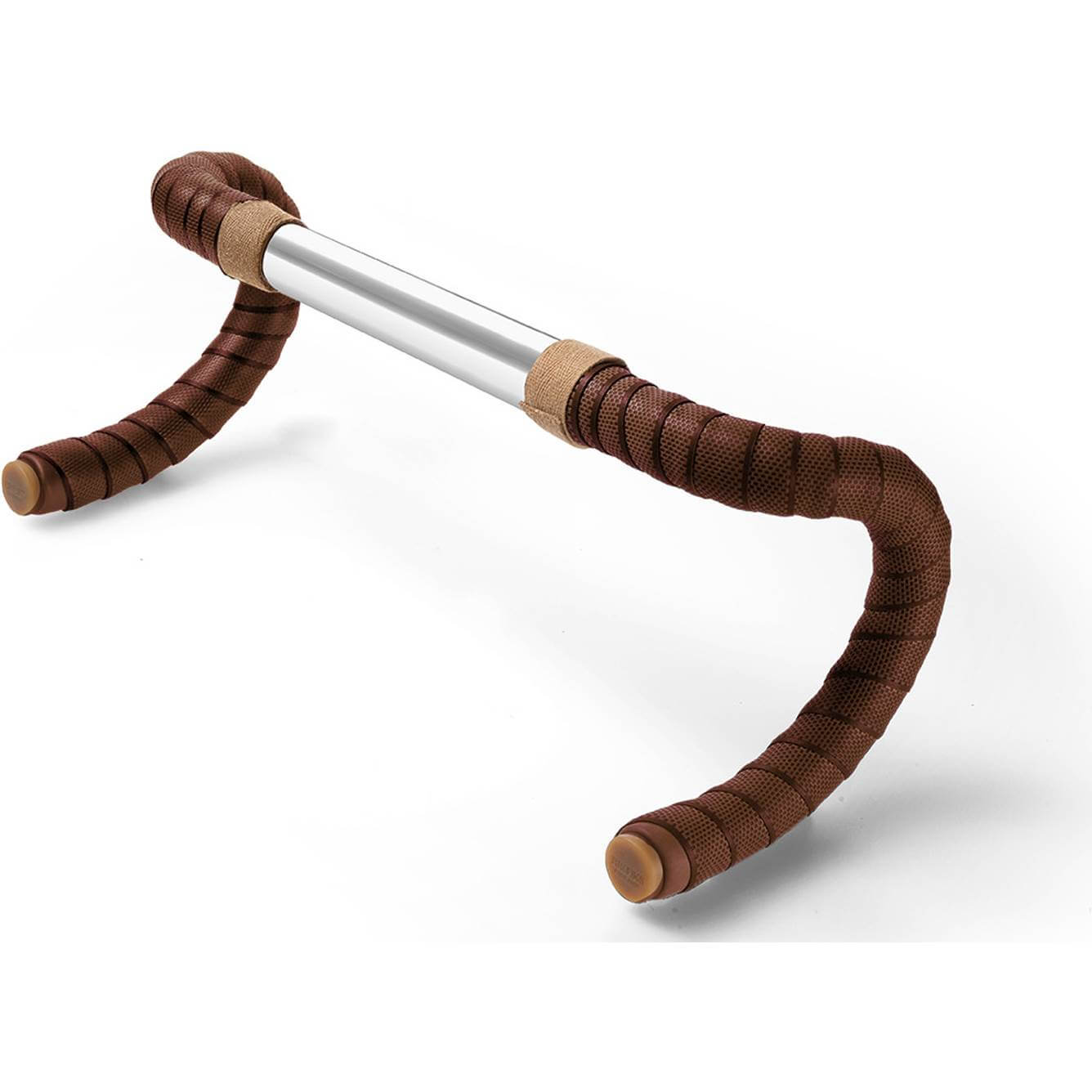 Cambium