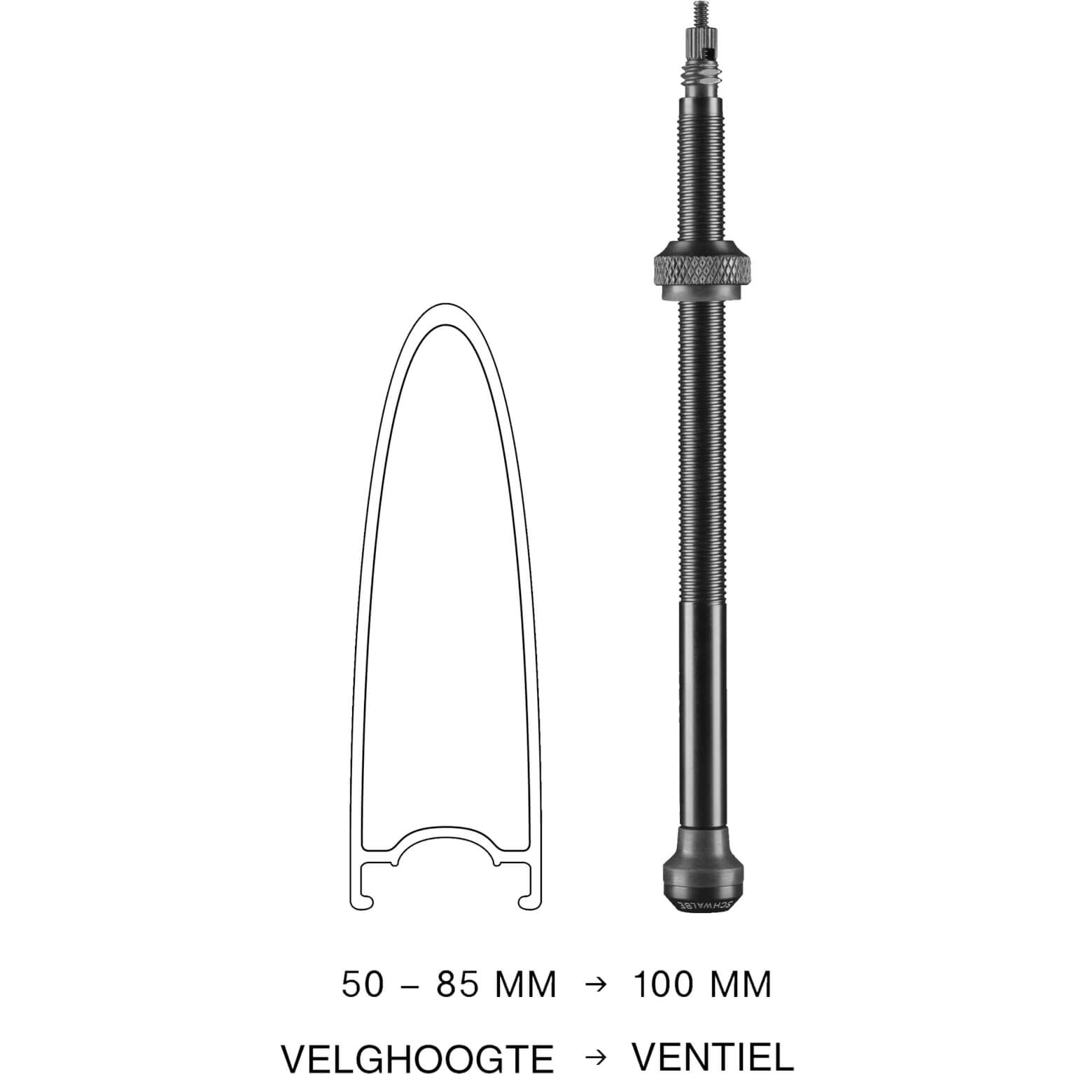 Schwalbe ventiel tubeless 100 mm set 2 stuks