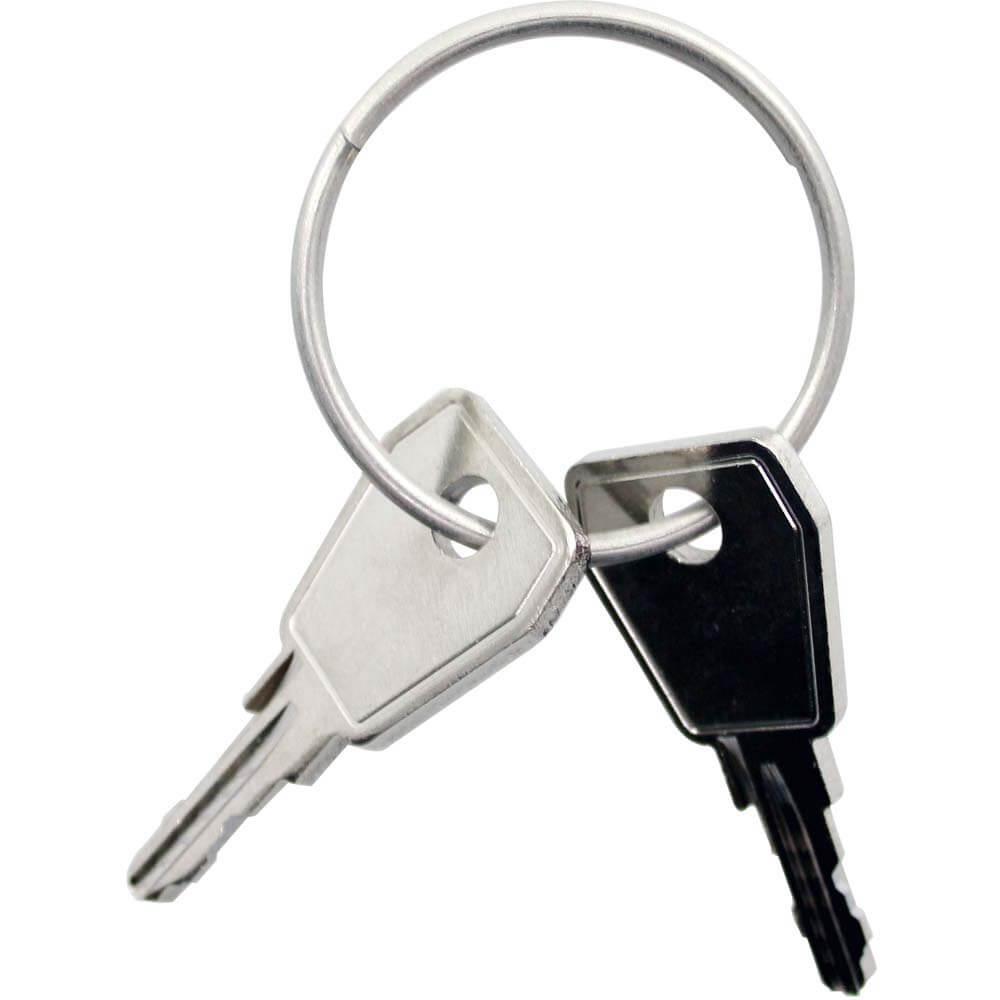 Thule sleutel Yepp Nexxt P0 2 stuks